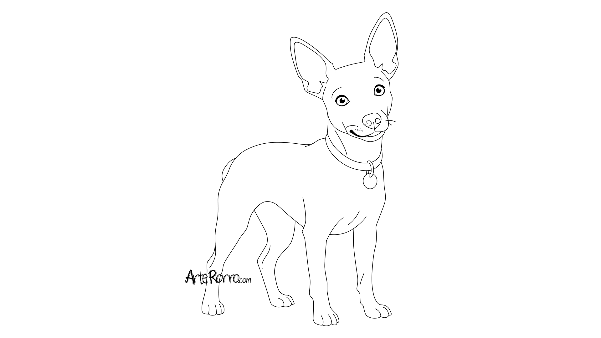  Toy Terrier Dog